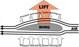 Flight Bernoulli