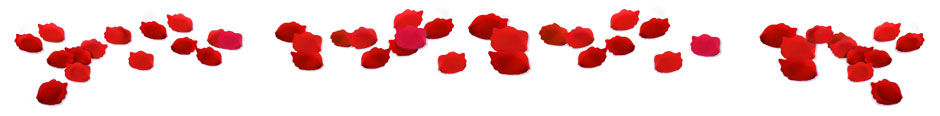 Valentine's Day Rose Petals - GameHouse